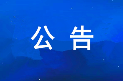 西安壹定发集团可持续发展汇报